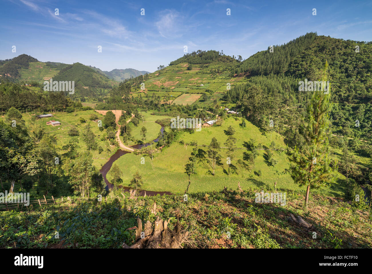 Landschaft mit landwirtschaftlichen Flächen, Bwindi Nationalpark in Süd-Uganda, Afrika Stockfoto