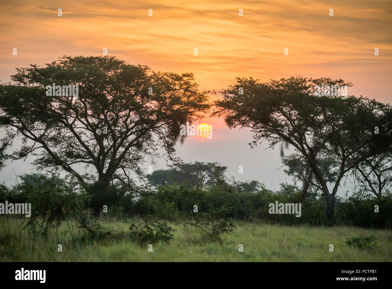 Queen Elizabeth National Park, Uganda, Ostafrika Stockfoto