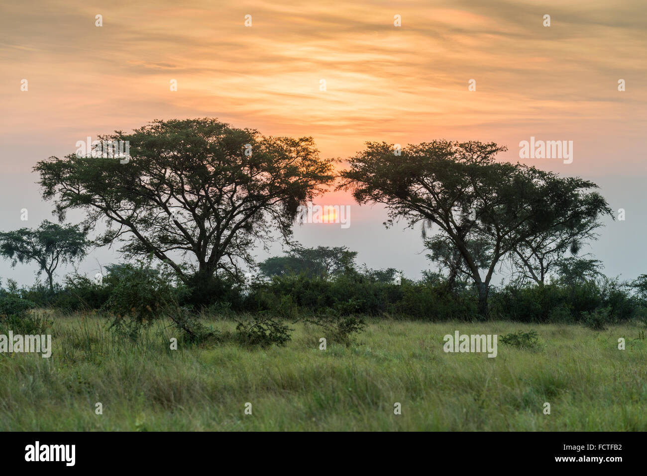 Queen Elizabeth National Park, Uganda, Ostafrika Stockfoto