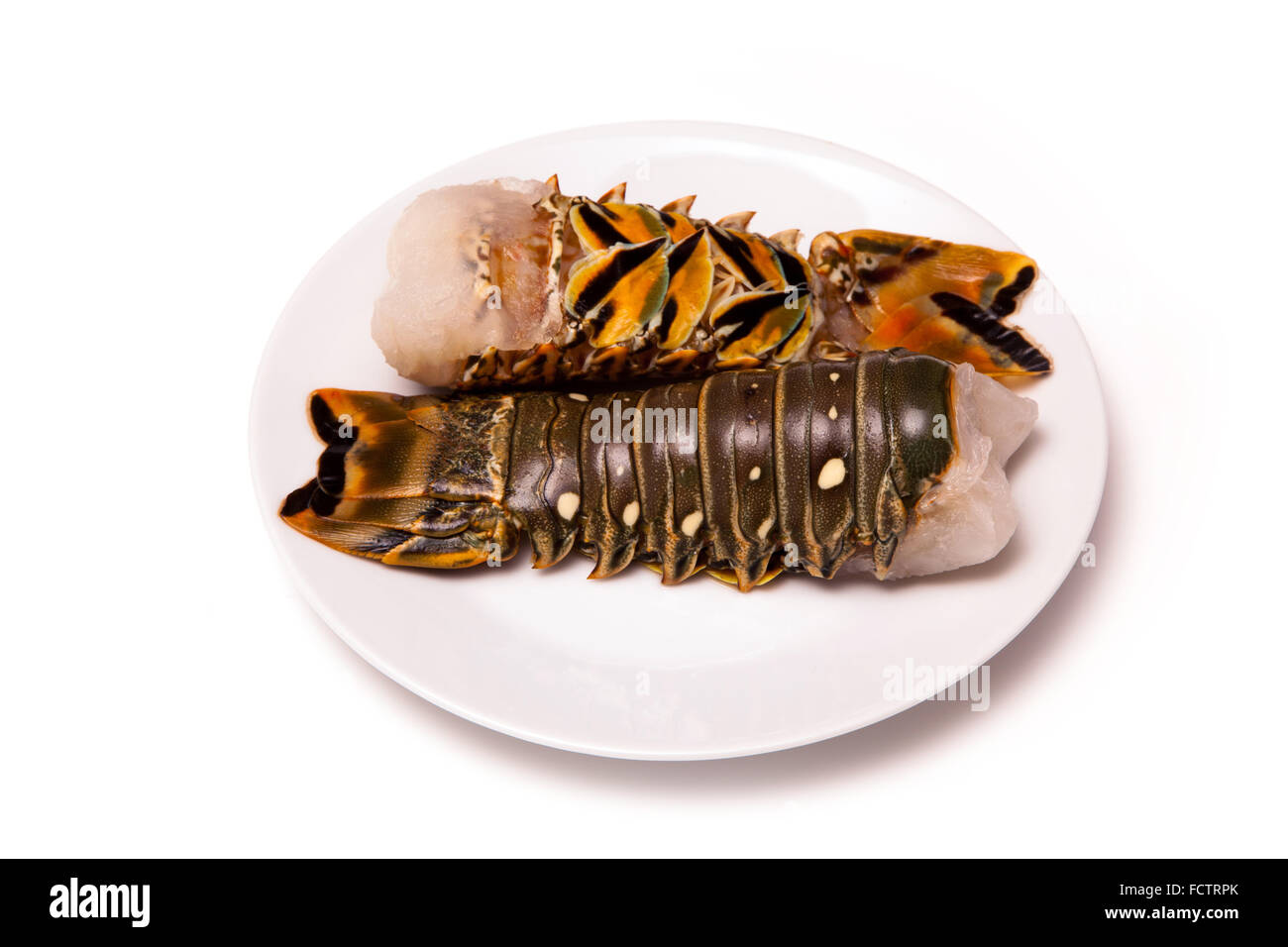 Rohe Karibik (Bahamas) Rock Lobster (Panuliirus Argus) oder Languste Zahl isoliert auf einem weißen Studio-Hintergrund. Stockfoto