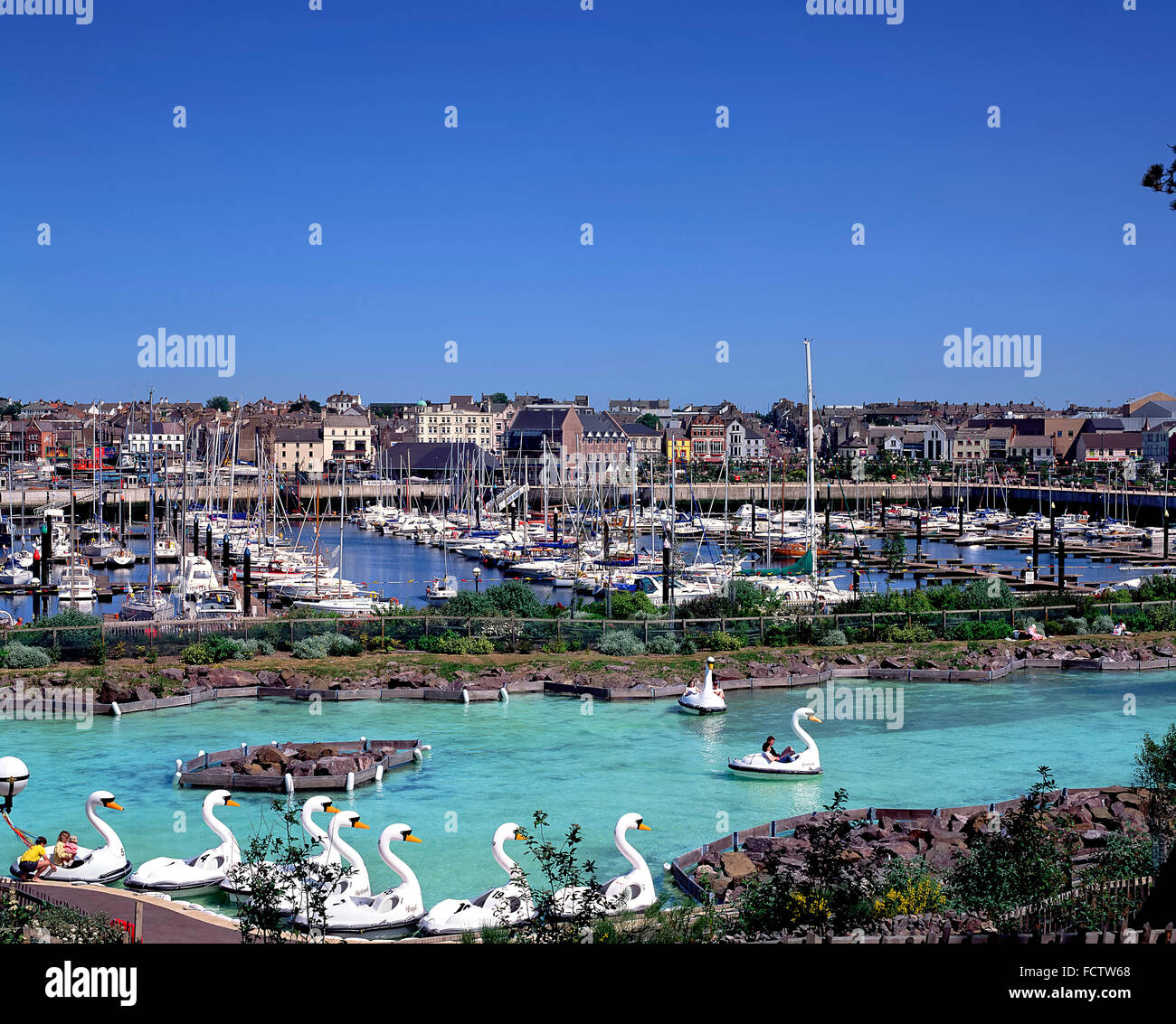 Bangor Marina Pickie Park Bangor nach unten Pedalo Schwäne Stockfoto