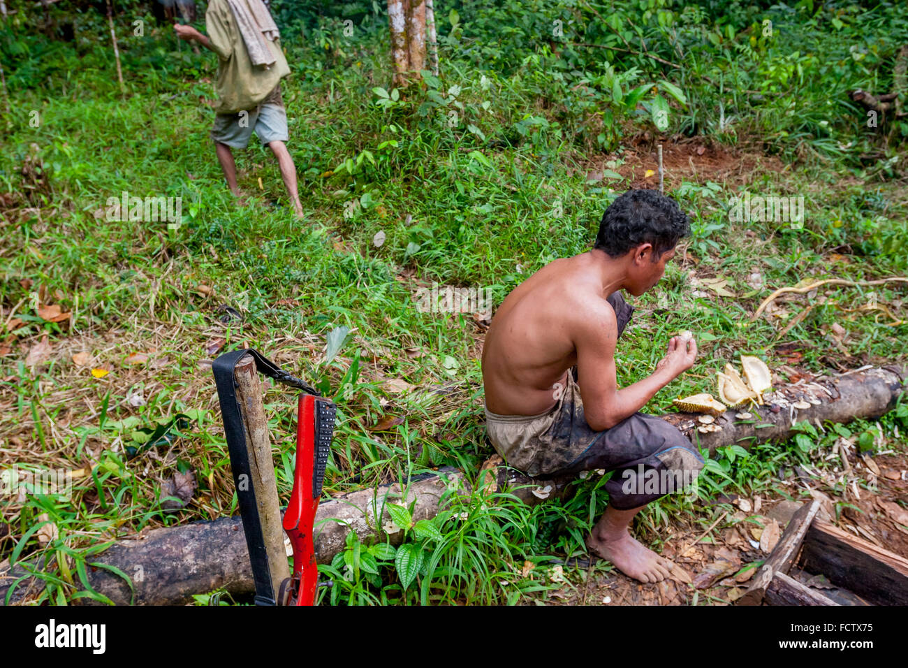 Dorfbewohner genießen Durians, während sie von der Nahrungssuche in Batang Toru Gegend, Nord-Sumatra, Indonesien, anhalten. Stockfoto