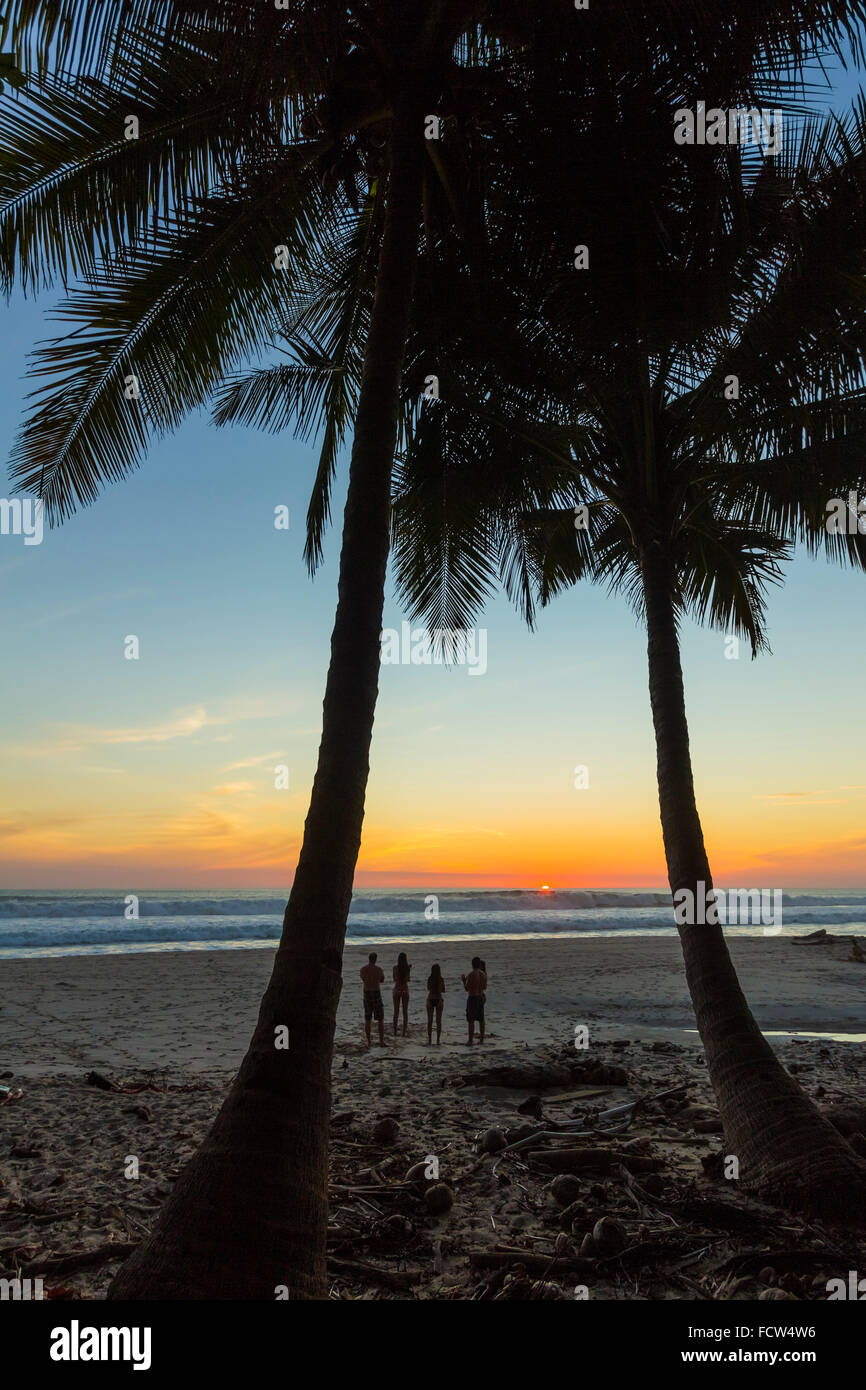 Menschen von Palmen bei Sonnenuntergang am Strand von Playa Hermosa, Nicoya Halbinsel; Santa Teresa, Puntarenas, Costa Rica Stockfoto