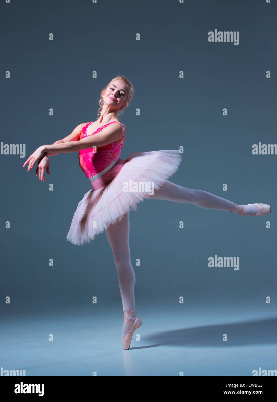 Porträt der Ballerina im Ballett posieren auf einem grauen Hintergrund. Ballerina ist rosa Tutu und Pointe Schuhe tragen. Stockfoto