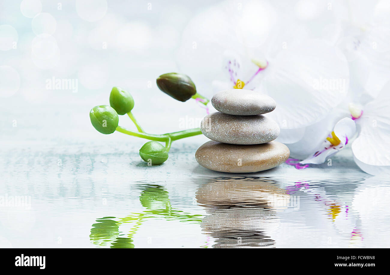 Spa-Stillleben mit Massage Steinen, weiße Orchidee auf Wasserreflexion Stockfoto