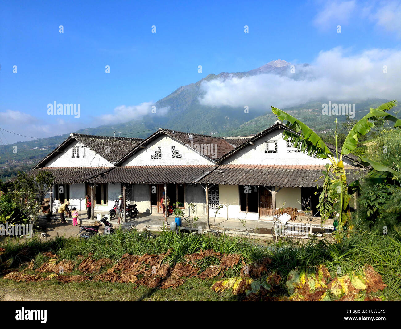 Indonesien Zentral Java Mount Merapi gesehen von der Ketep Pass Adrian Baker Stockfoto
