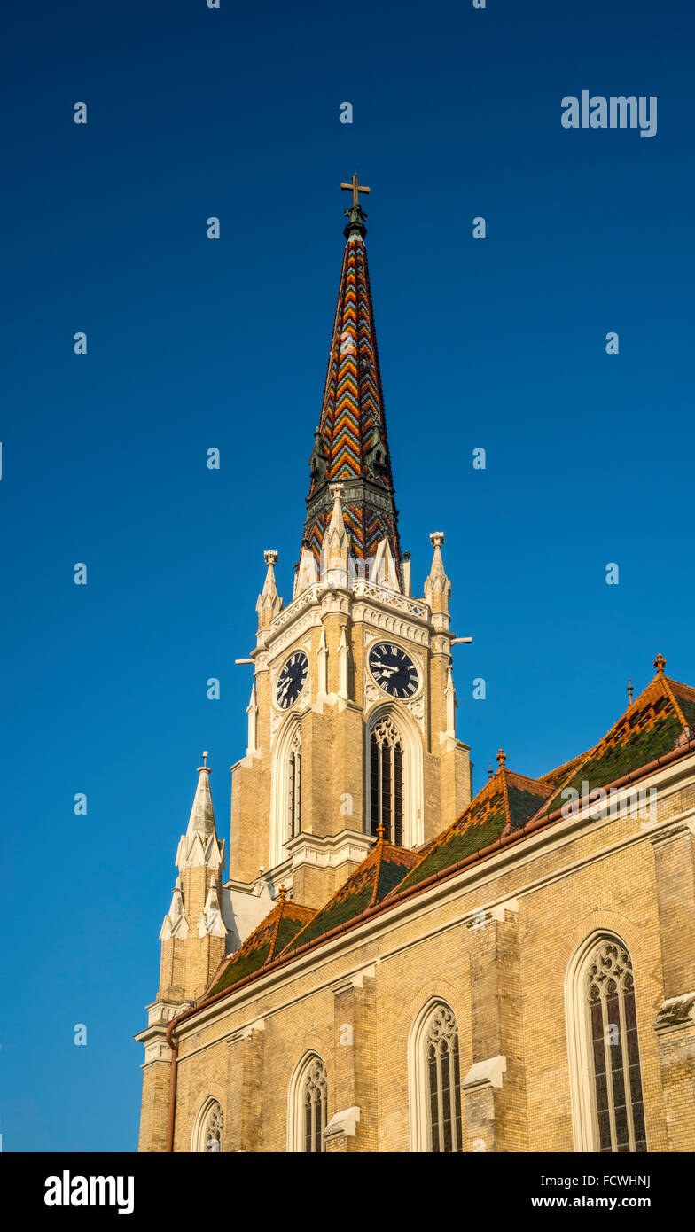 Römisch-katholische Kathedrale, 1895, am Trg Slobode (Freiheitsplatz) in Novi Sad, Vojvodina, Serbien Stockfoto