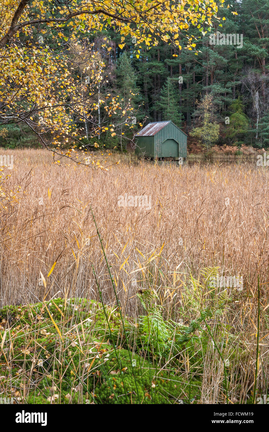 Bootshaus & Schilf am Queens Loch in Aboyne in Aberdeenshire, Schottland. Stockfoto