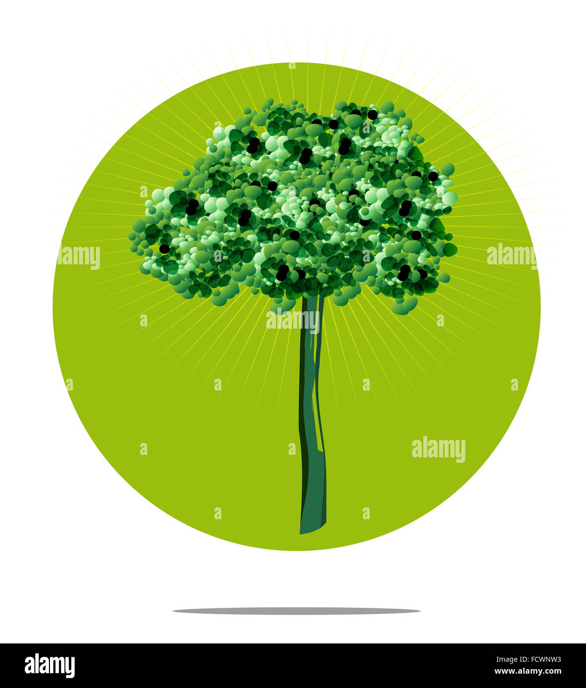 Abbildung eines Baumes mit grüner Kreis Hintergrund Stockfoto