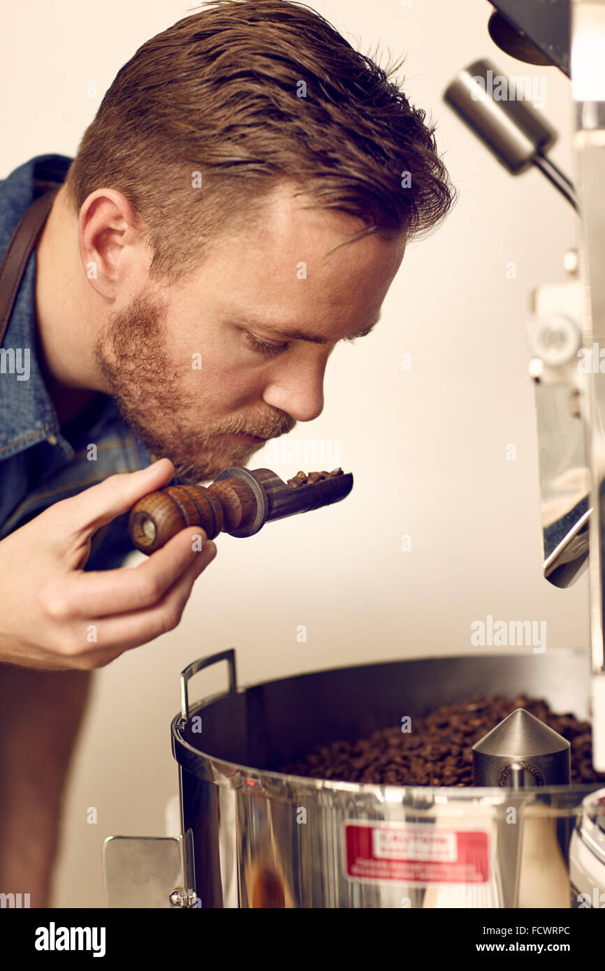 Geschäftsinhaber, die riechen frisch geröstete Kaffeebohnen für aromati Stockfoto