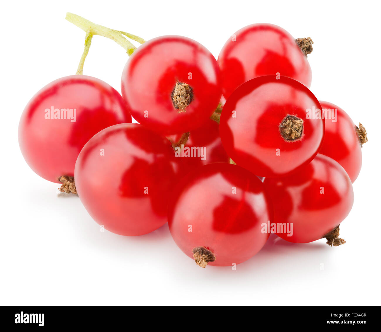 rote Johannisbeeren auf dem weißen Hintergrund isoliert. Stockfoto