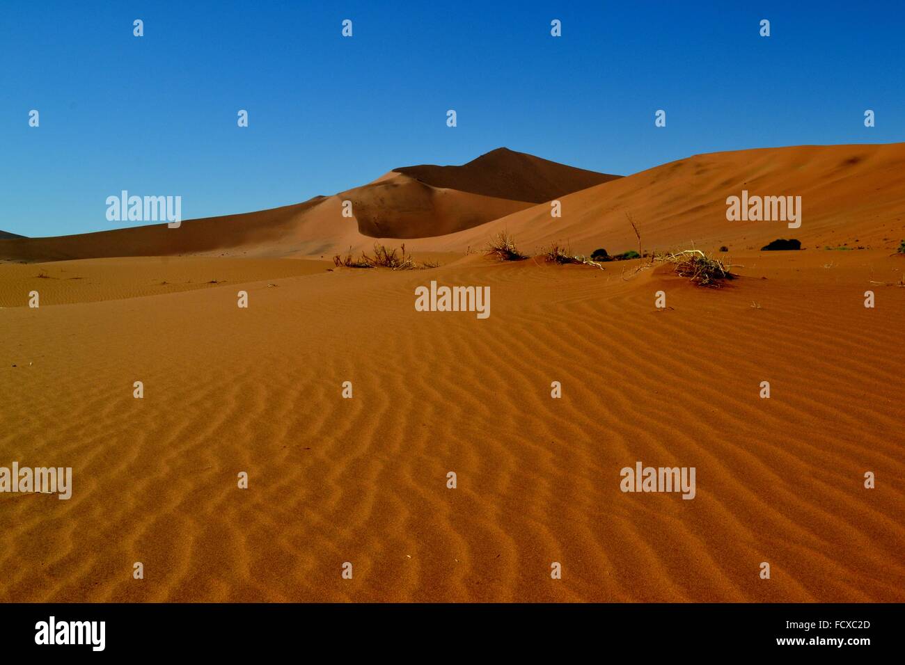 Wüstenlandschaft im Sossusvlei, Namibia, Afrika Stockfoto