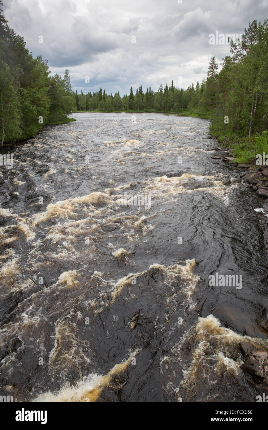Stromschnellen im Fluss Raudanjok im Bereich Polarkreis Wandern in der Nähe von Rovaniemi, Finnland Stockfoto