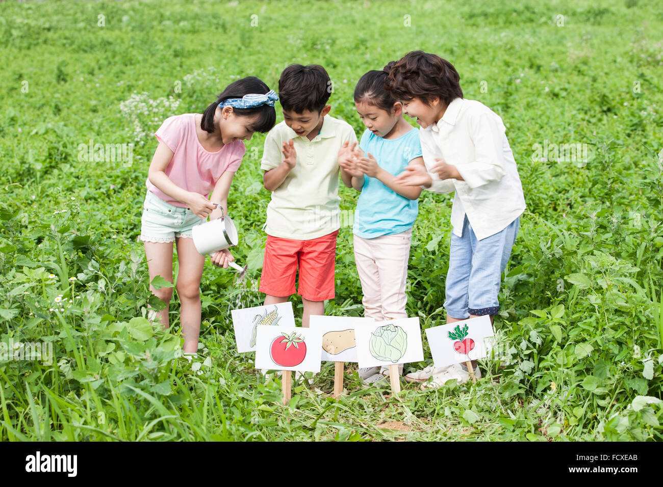 Vier Kinder zusammen auf der Suche nach unten und Bewässerung von Pflanzen im Feld mit Gemüse Schilder auf dem Feld Stockfoto