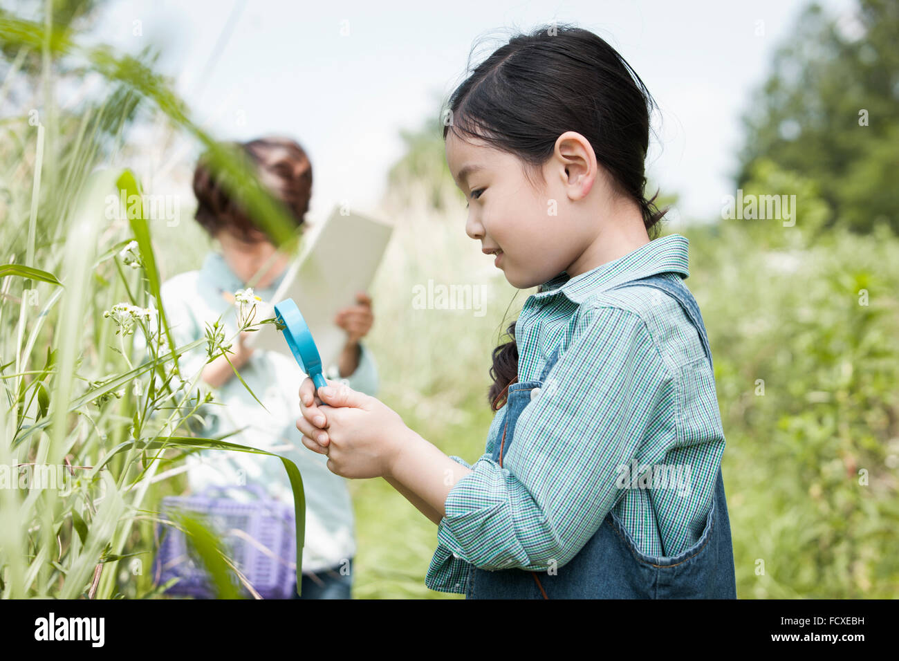 Mädchen beobachten Pflanzen durch eine Lupe mit dem Hintergrund eines jungen in der Konzentration auf Feld Stockfoto