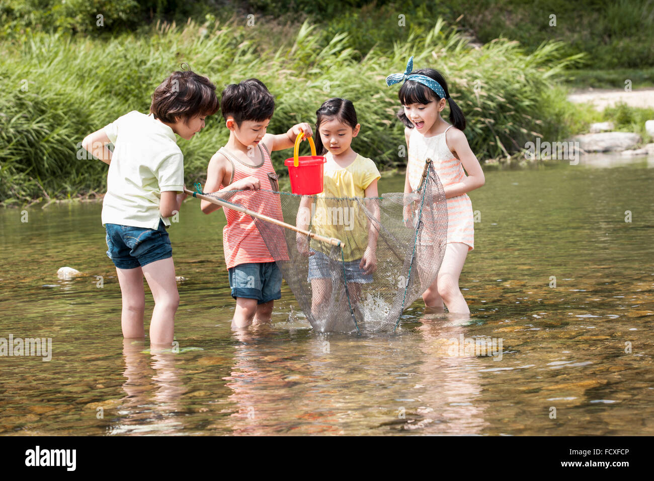 Vier Kinder, die Spaß für die Sommerferien in das Wasser des Baches halten ein Fischernetz und einen Eimer Stockfoto