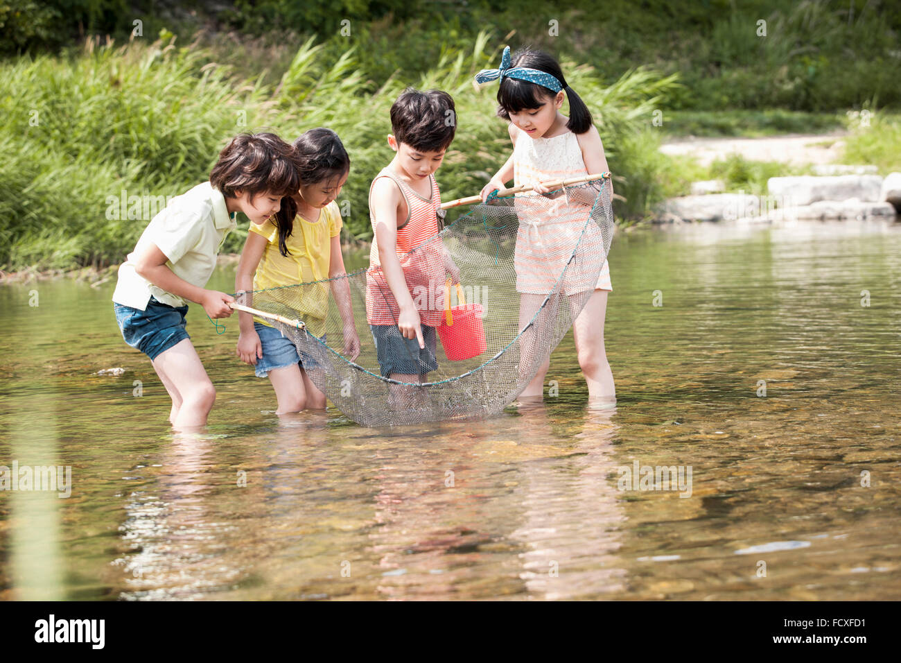Vier Kinder, die Spaß für die Sommerferien in das Wasser des Baches halten ein Fischernetz und einen Eimer alle nach unten Stockfoto