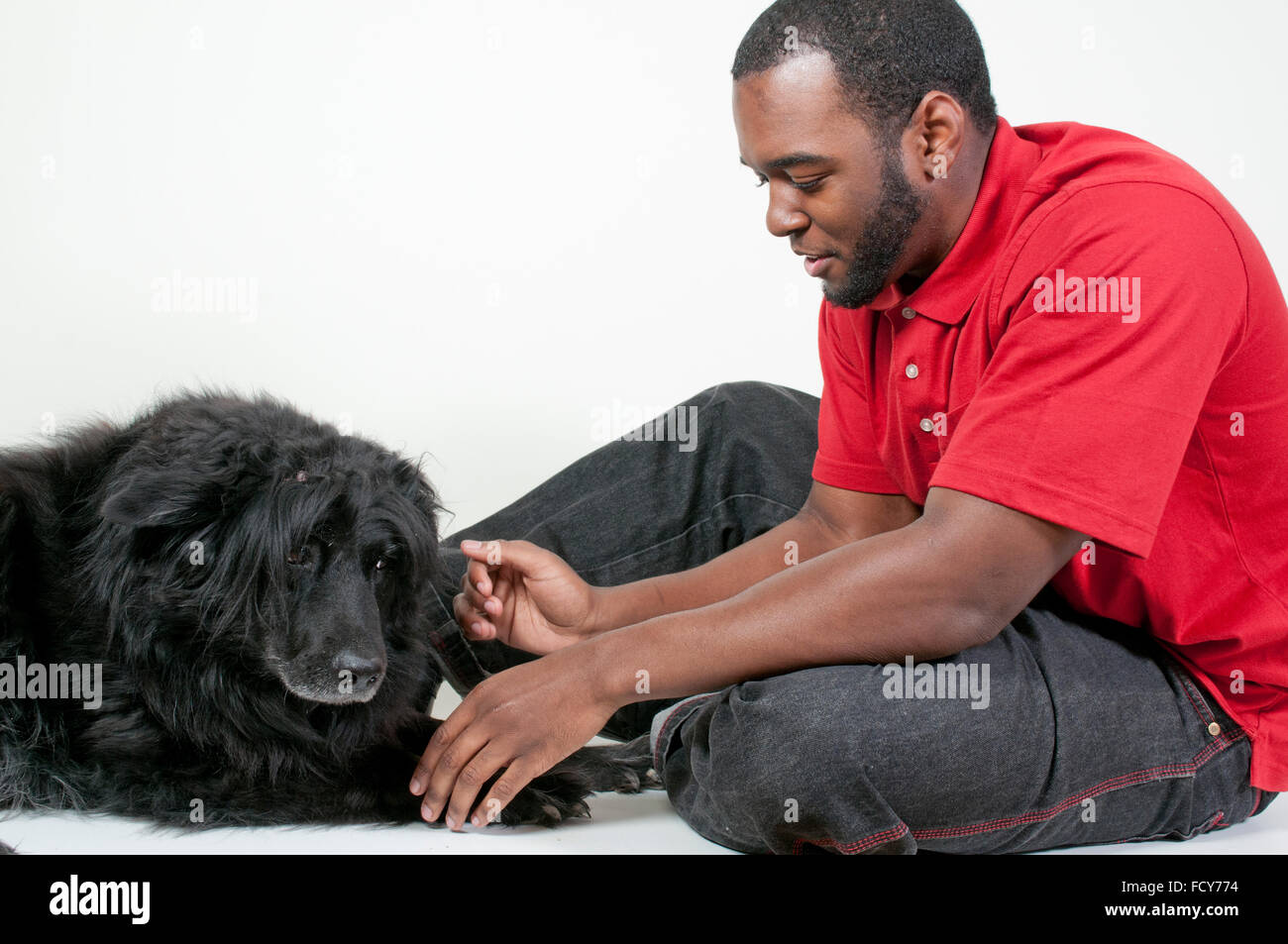 Black African American Mann mit einem Hund spielen Stockfoto