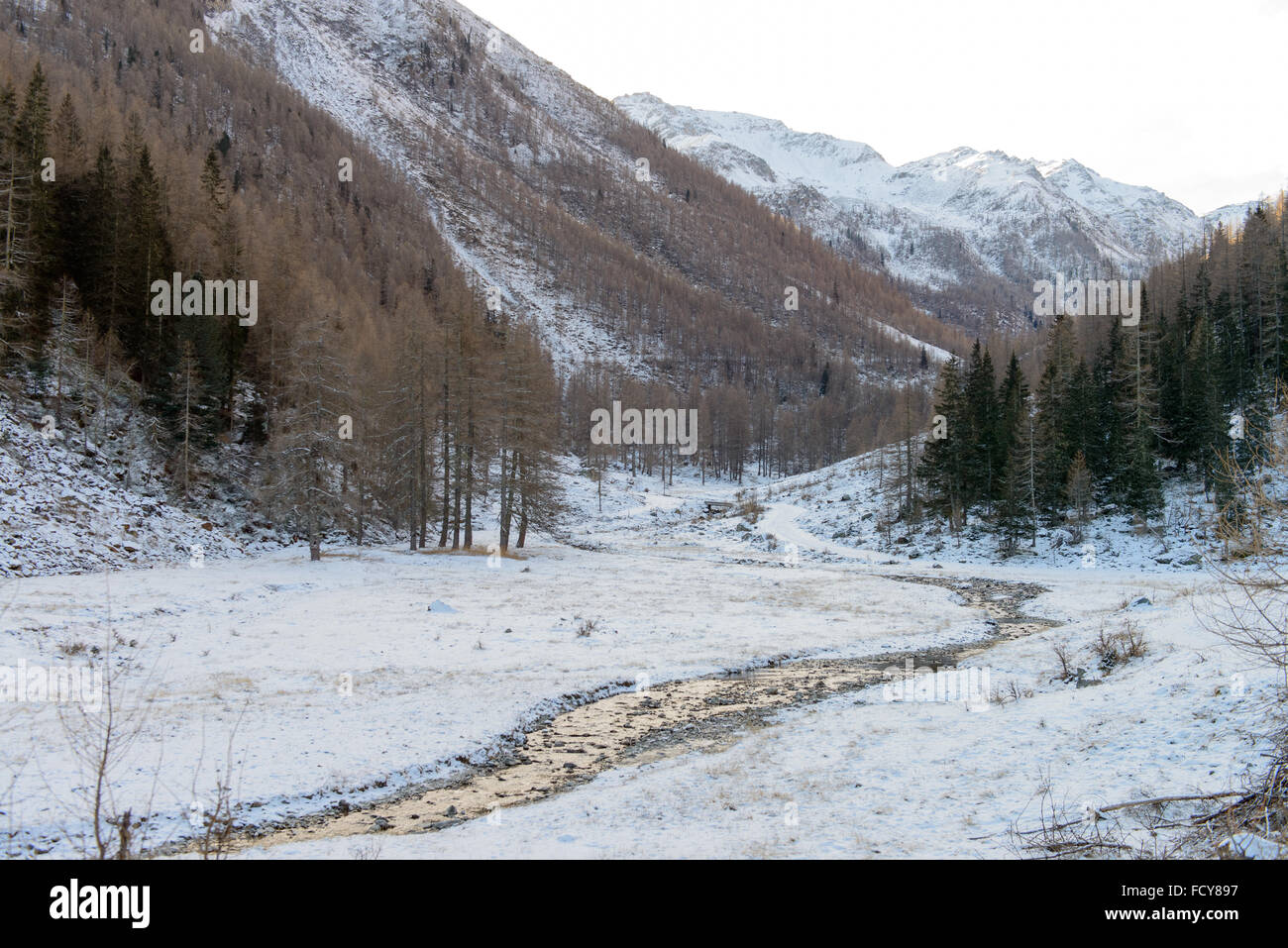 Kirchbergtal - Ultner Stockfoto