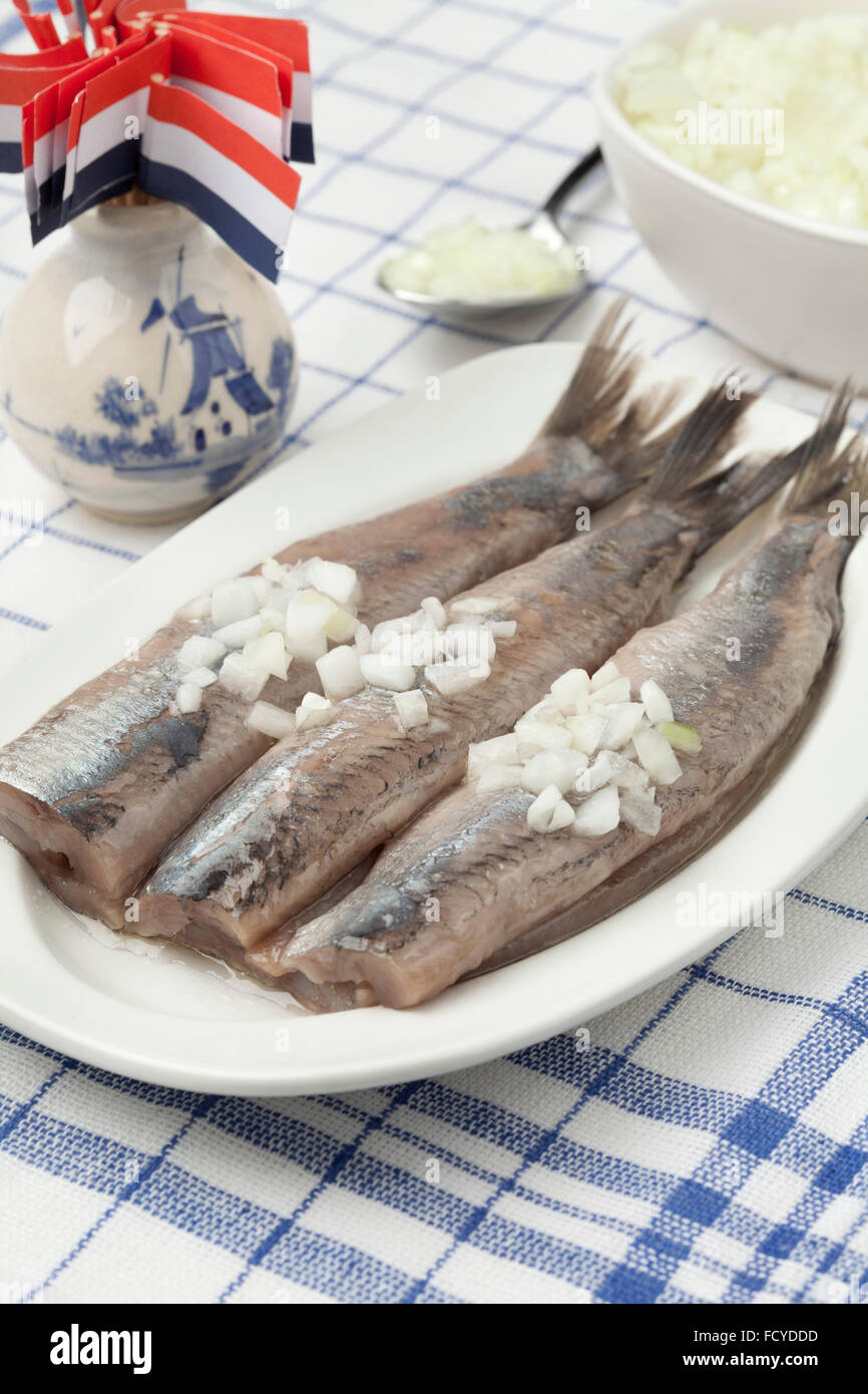 Traditionelle niederländische roher Hering mit Zwiebeln auf einem