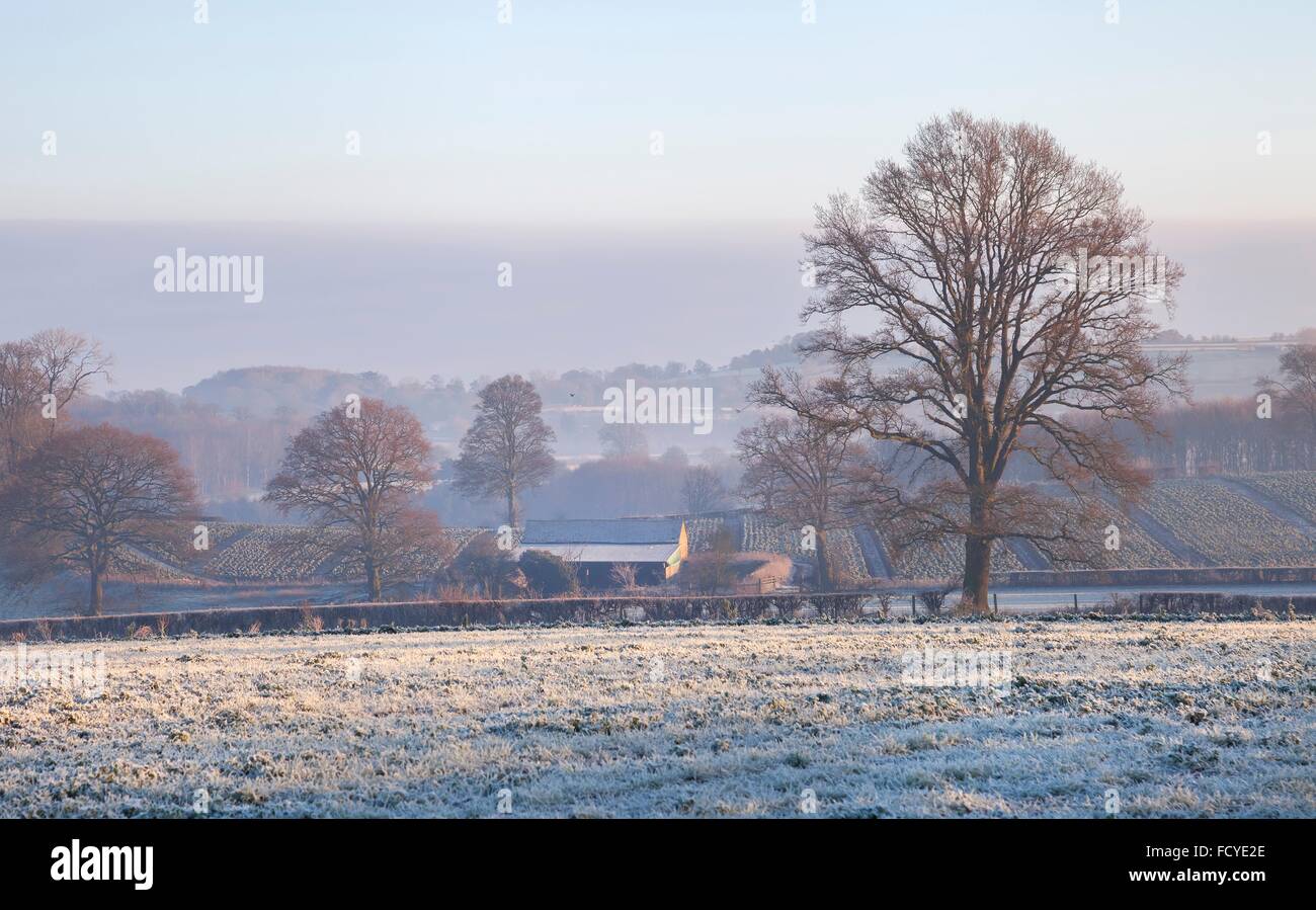 Raureif auf Ackerland in der Nähe der Cotswolds Dorf von Chipping Campden, Gloucestershire, England. Stockfoto