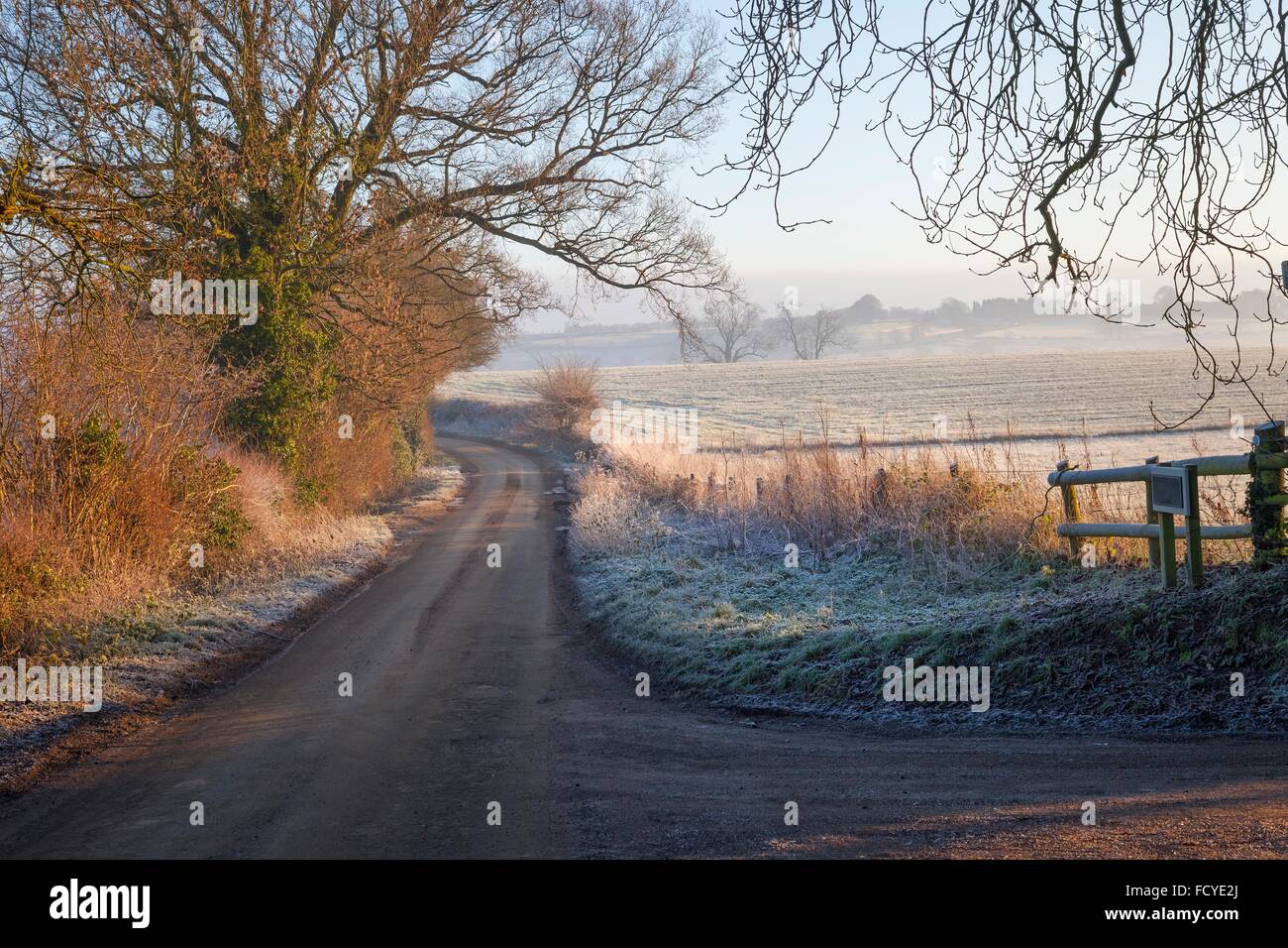 Raureif auf Ackerland in der Nähe der Cotswolds Dorf von Chipping Campden, Gloucestershire, England. Stockfoto