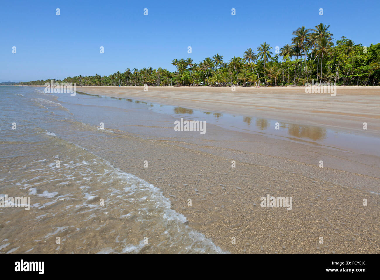 Strand mit Palmen in Mission Beach, Queensland, Australien Stockfoto