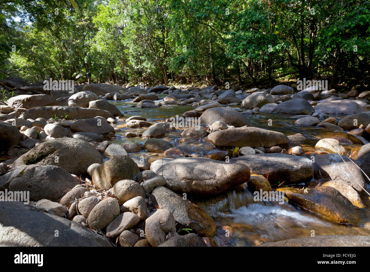 Wasser und Felsen im Finch Hatton Gorge, Queensland, Australien Stockfoto