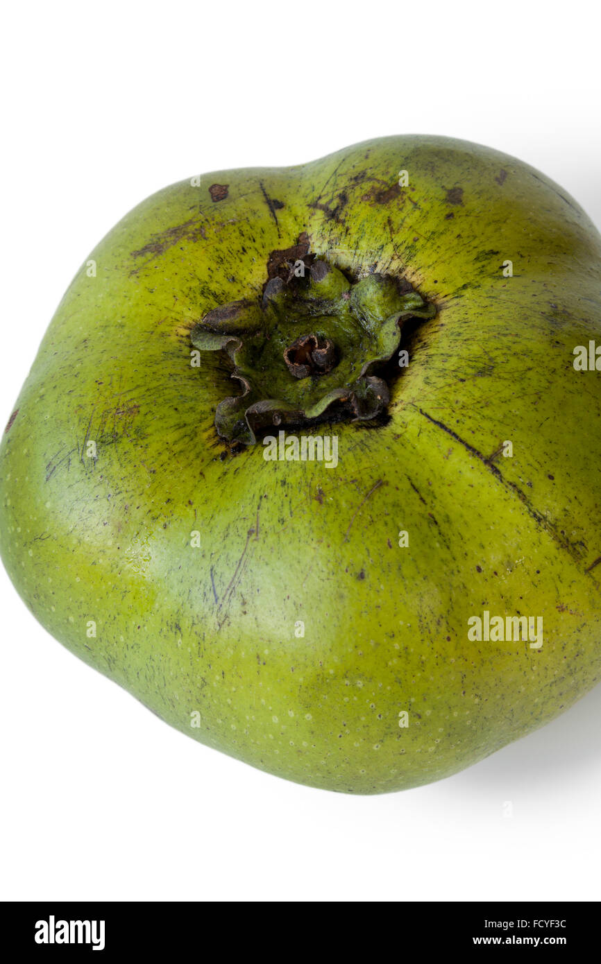 Frische schwarze Sapote Obst auf weißem Hintergrund Stockfoto