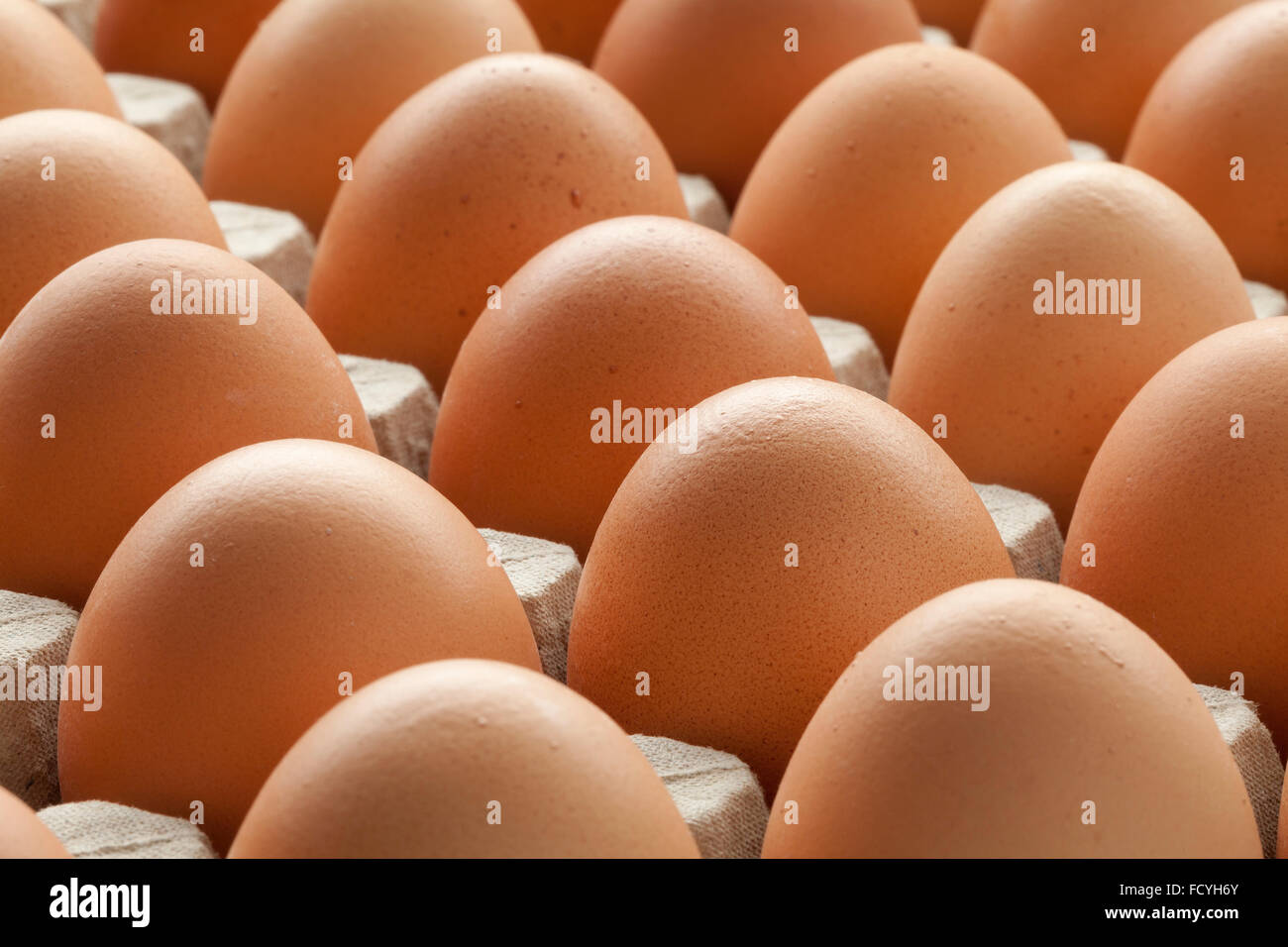 Bio braune Frischeier in Karton Kiste Stockfoto