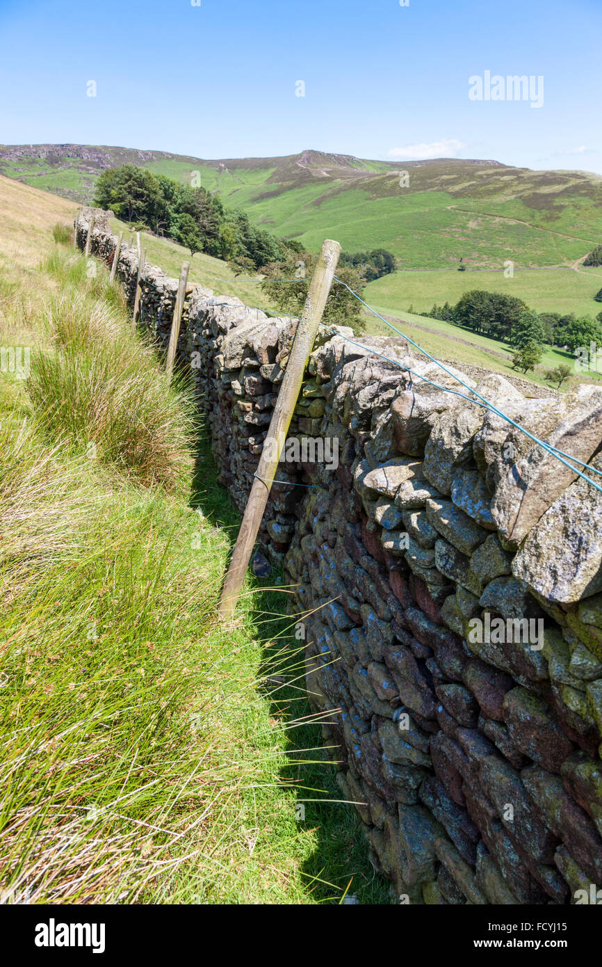 Trockenmauer mit zusätzlichen Draht-einzäunung auf hölzernen Pfosten, Vale von Alfreton, Derbyshire, Peak District National Park, England, Großbritannien Stockfoto