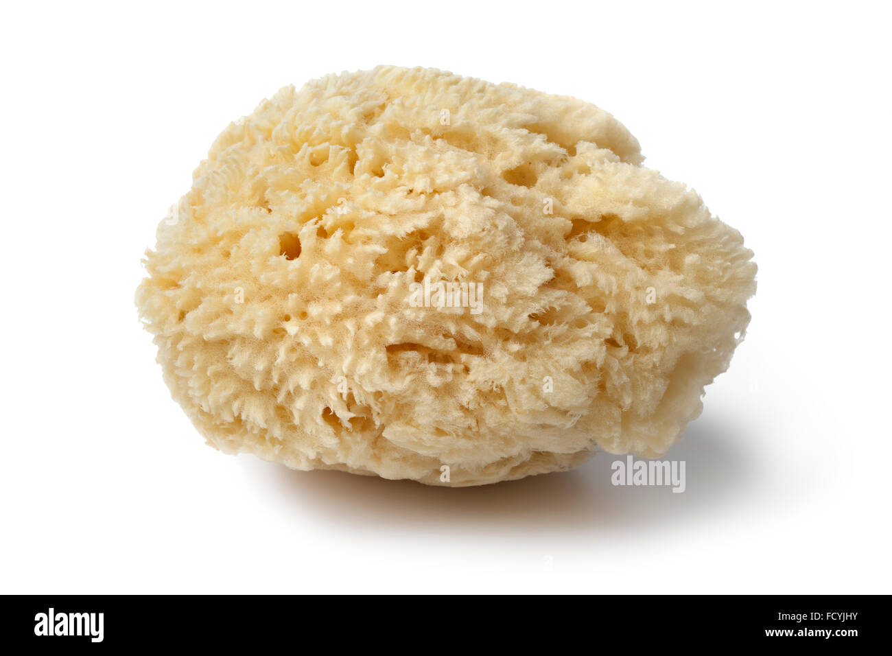 Natürliche Bad Schwamm für die kosmetische Anwendung auf weißem Hintergrund Stockfoto