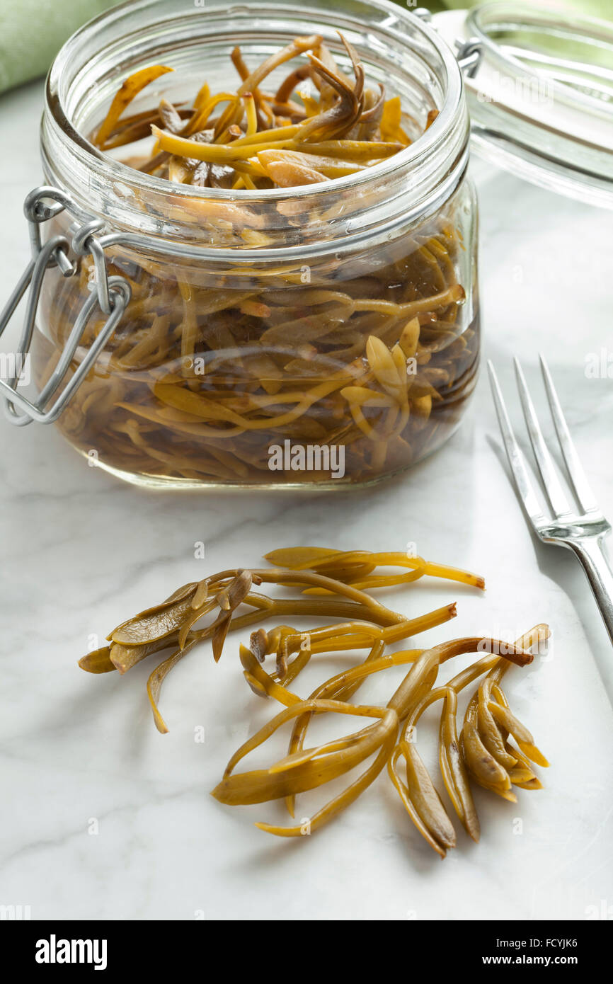 Eingelegter Queller im Weckglas Stockfoto