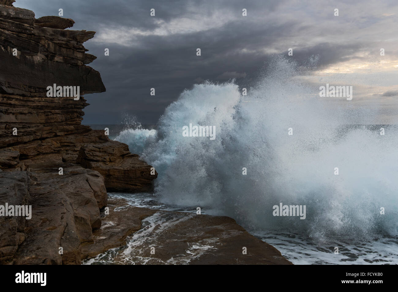 Große Wellen gegen die Klippen bei Clovelly NSW Australia Stockfoto