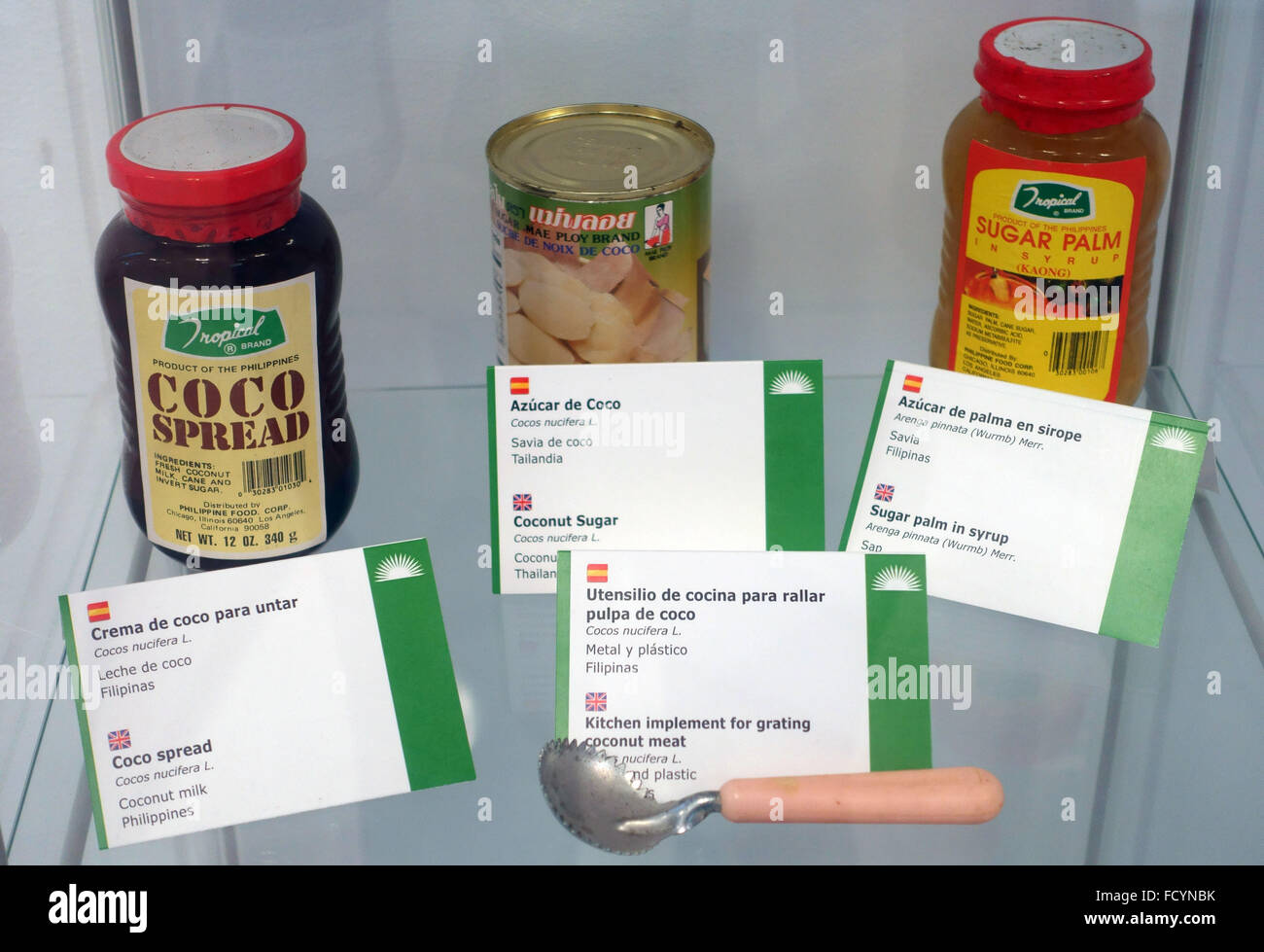 Palmetum botanischen Gärten in Santa Cruz De Tenerife, Kanarische Inseln, Spanien - Produkte aus Palmen Stockfoto