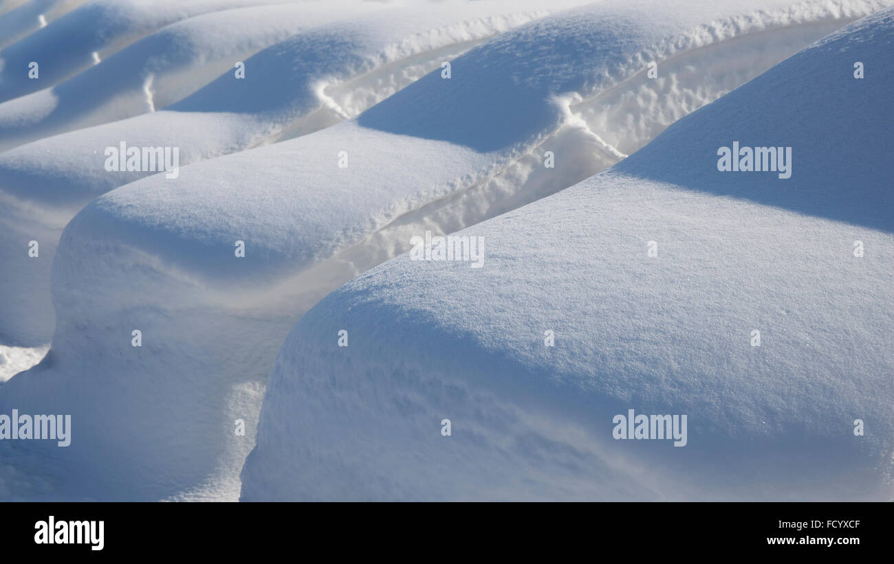 Viele geparkte Autos unter tiefen Schnee nach Schnee Schneesturm bedecken. Stockfoto