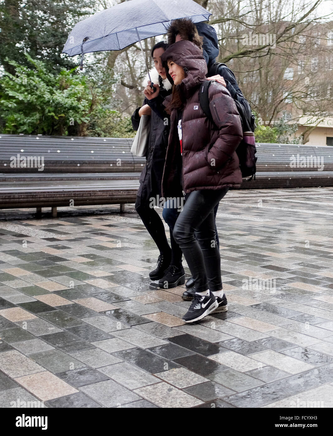 Brighton, Großbritannien. . Wir teilen uns heute in Brighton einen  Regenschirm, während das Sturmwetter, das Schneechaos in den USA  verursachte, heute in Großbritannien eintrifft und Stürme und Regen bringt:  Simon Dack/Alamy Live