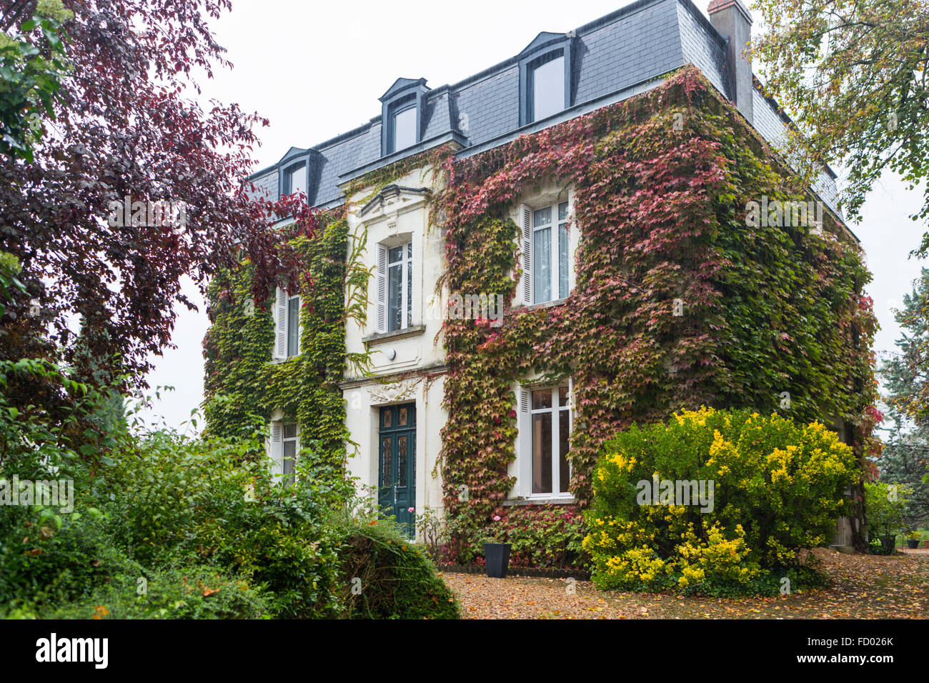 Efeuumranktes Haus im Loire-Tal, Frankreich Stockfoto