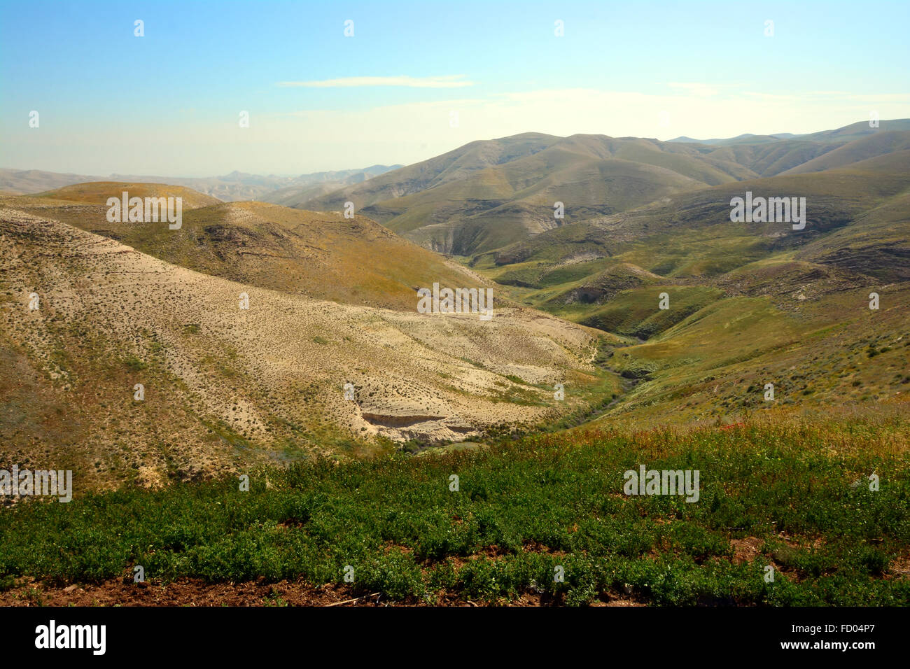 Binyamin Hügellandschaft, Israel Stockfoto