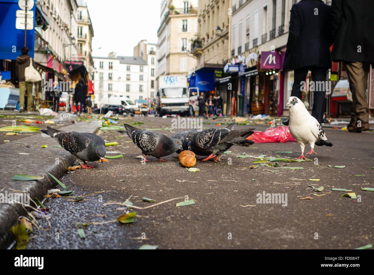 Tauben Essen bleibt nach Abschluss der Obst und Gemüse Markt im Freien am Marché Aligre, d'Aligre, Aligre Street, Aligre Square, Paris, Frankreich. Stockfoto