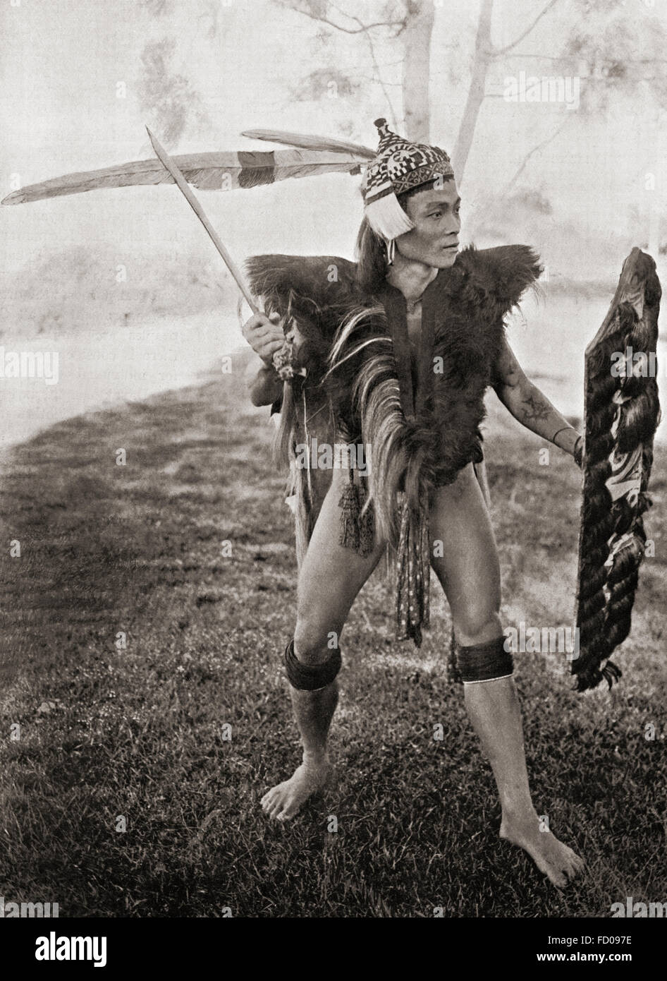 Eine Frau-Krieger der Baram District, Sarawak, Borneo, Malaysia.  Sein Fell setzte sich aus Ziegenleder und seinem Schild bedeckt mit Echthaar von seinen Feinden erhalten.  Die langen Federn in seiner Krieg-Mütze waren aus der behelmte Nashornvogel und Rhinoceros Hornbill gerupft.   Nach einer Fotografie des 19. Jahrhunderts. Stockfoto