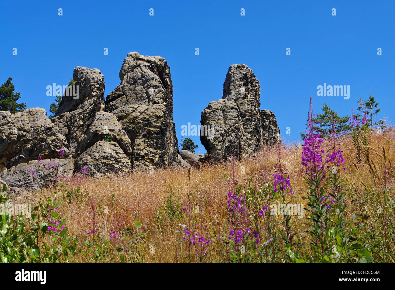 sterben Sie Teufelsmauer Im Harz - der Teufel-Wand in Harz Berge Stockfoto