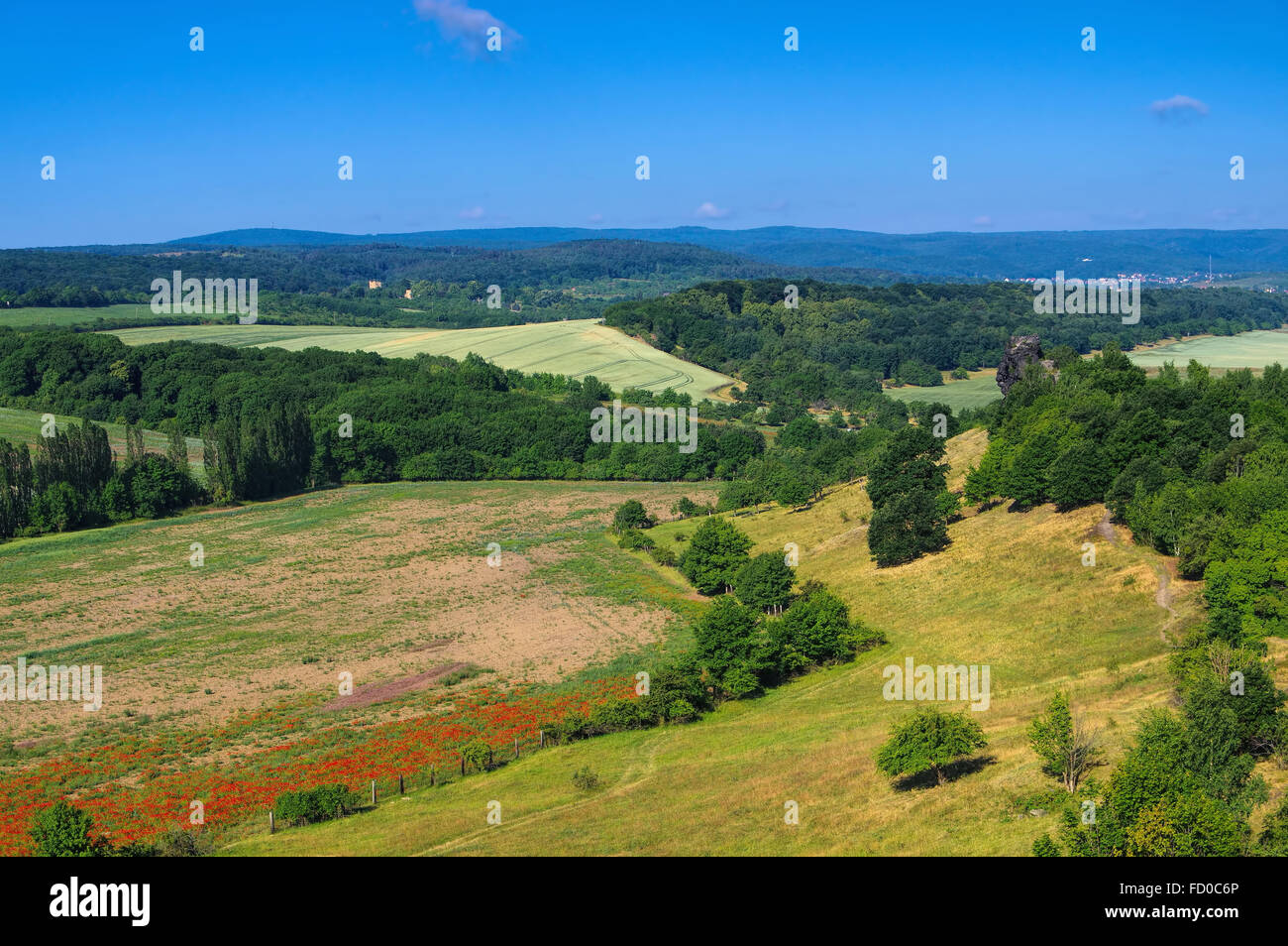 sterben Sie Teufelsmauer Im Harz - der Teufel-Wand in Harz Berge Stockfoto