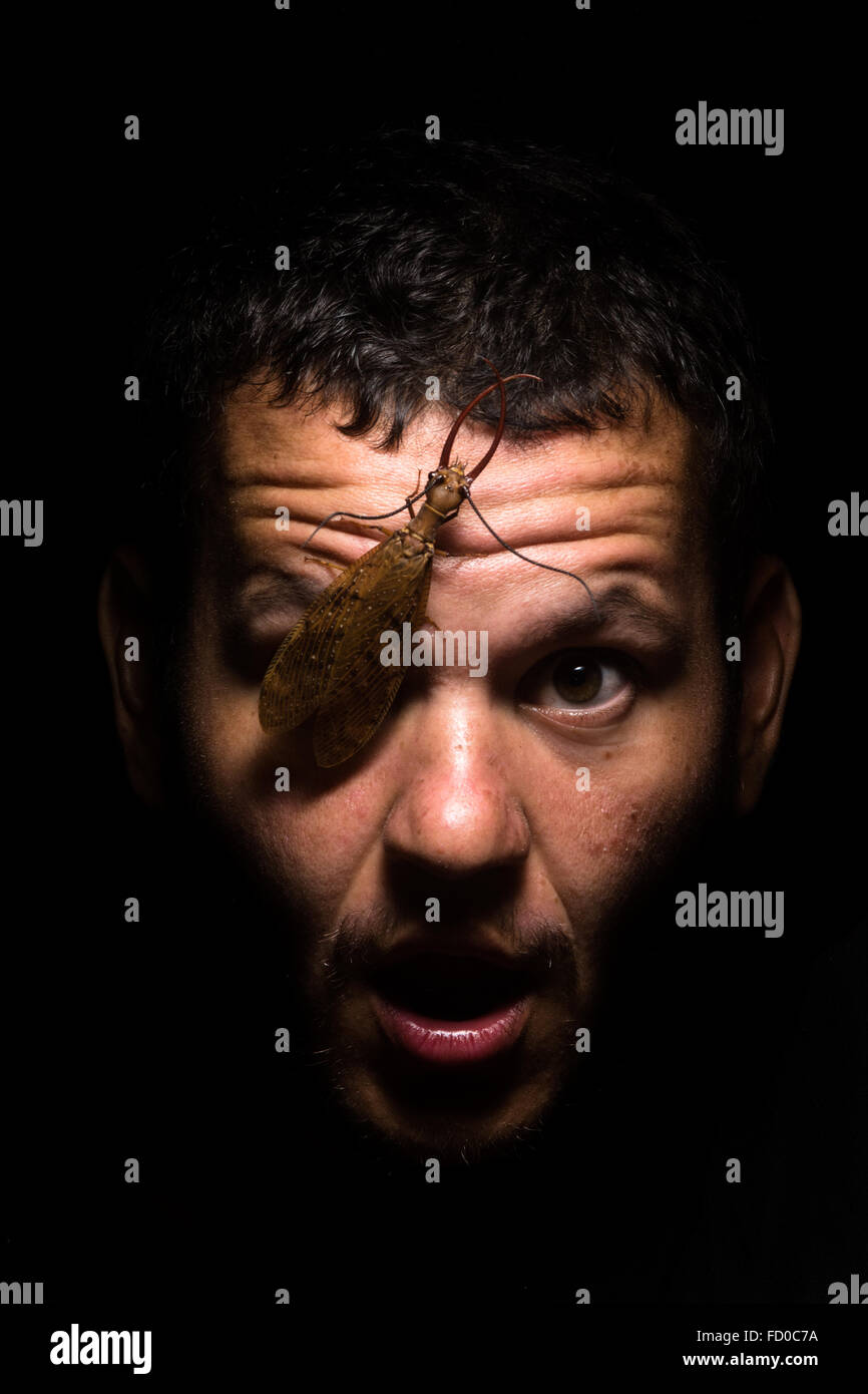 Ein Dobsonfly sitzt auf einem erschreckt aussehende Personen Gesicht. Stockfoto