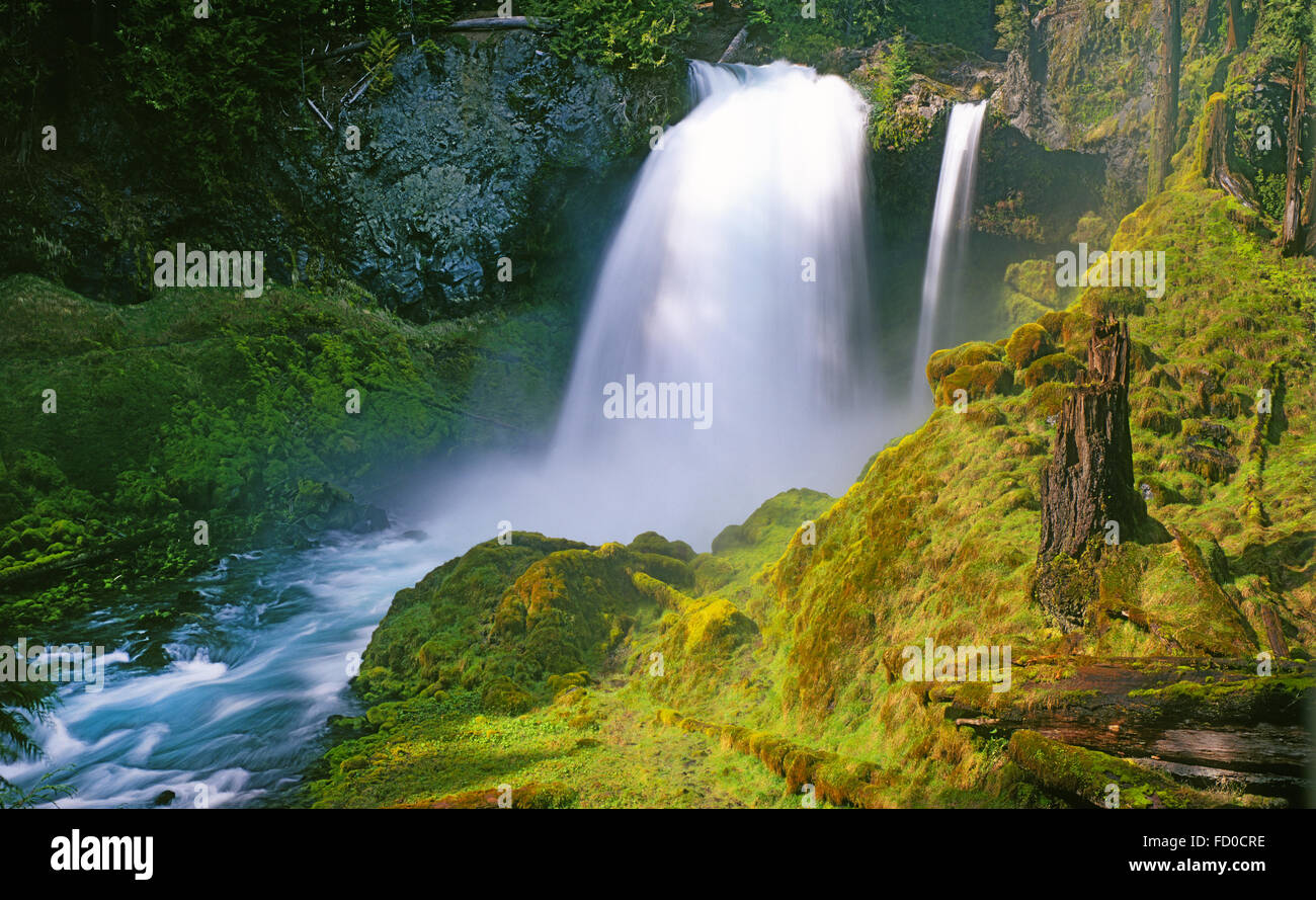 Sahalie fällt auf McKenzie River in Oregon Cascades. Stockfoto