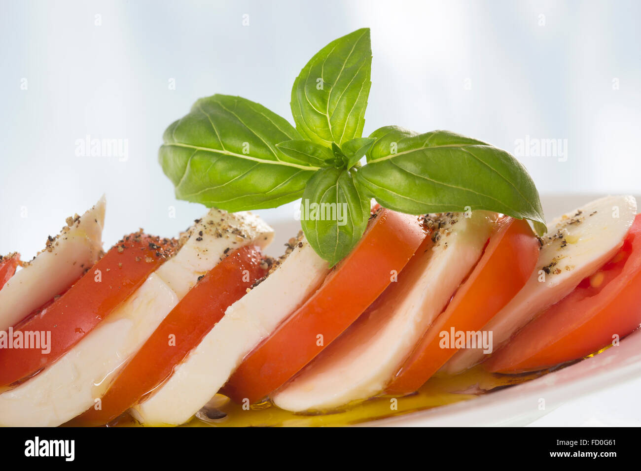Tomaten-Mozzarella-Salat Stockfoto