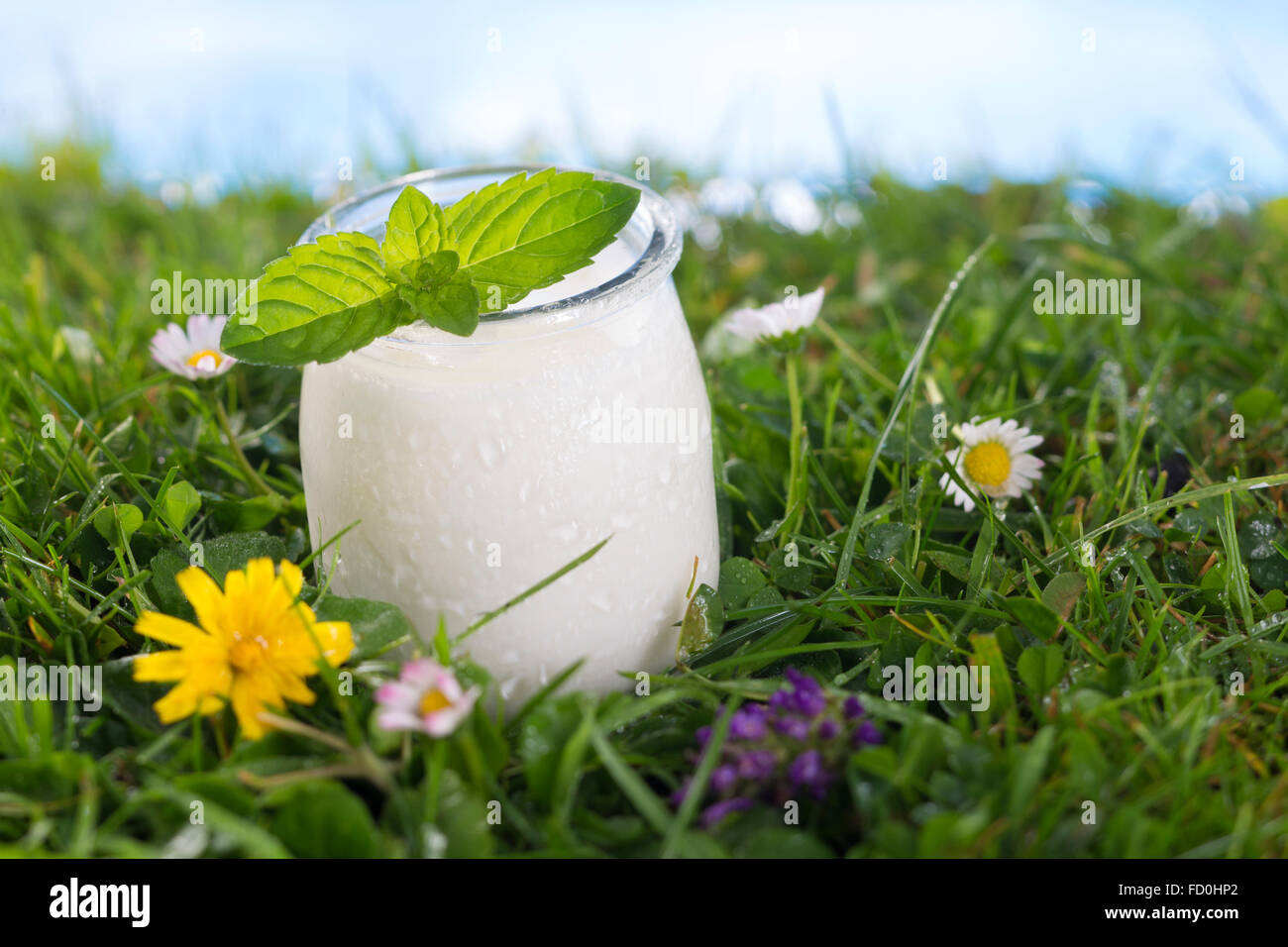 Schüssel mit Joghurt mit Minze auf dem Rasen Stockfoto