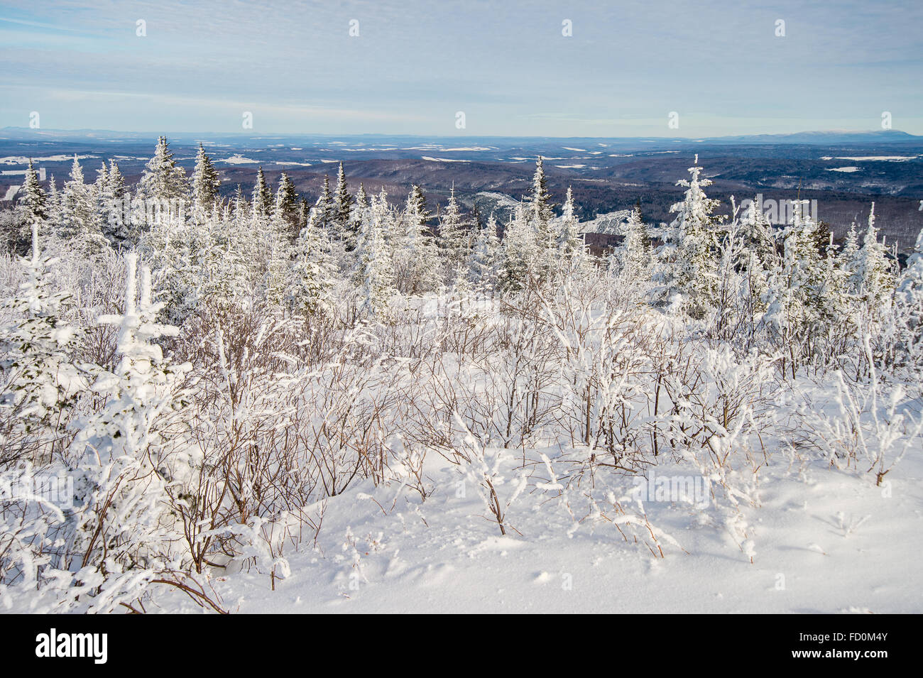 Schöne verschneite Landschaft Im östlichen Gemeinden Region Quebec, Kanada Stockfoto