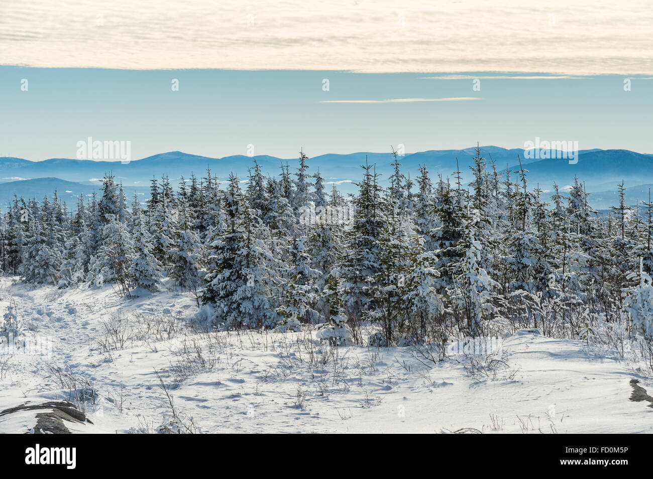 Schöne verschneite Landschaft Im östlichen Gemeinden Region Quebec, Kanada Stockfoto