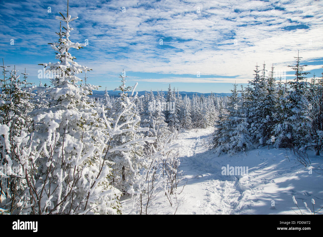 Schöne verschneite Landschaft Im östlichen Gemeinden Region Quebec, Kanada Stockfoto